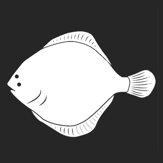 horario Restaurante Saucco